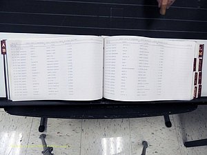 Surry Co, NC, Marriages, Female Index, A-Z, Beginning-1899 (145).JPG