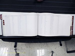 Surry Co, NC, Marriages, Female Index, A-Z, Beginning-1899 (151).JPG