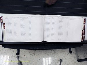 Surry Co, NC, Marriages, Female Index, A-Z, Beginning-1899 (152).JPG