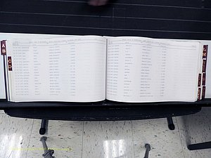 Surry Co, NC, Marriages, Female Index, A-Z, Beginning-1899 (153).JPG