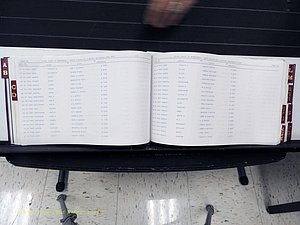 Surry Co, NC, Marriages, Female Index, A-Z, Beginning-1899 (155).JPG