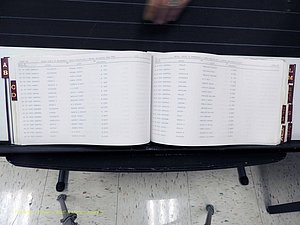 Surry Co, NC, Marriages, Female Index, A-Z, Beginning-1899 (158).JPG