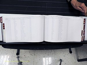 Surry Co, NC, Marriages, Female Index, A-Z, Beginning-1899 (171).JPG