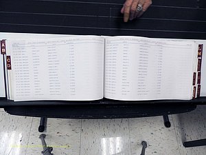 Surry Co, NC, Marriages, Female Index, A-Z, Beginning-1899 (172).JPG
