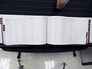 Surry Co, NC, Marriages, Female Index, A-Z, Beginning-1899 (173).JPG