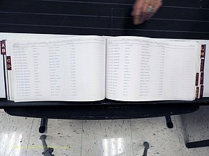 Surry Co, NC, Marriages, Female Index, A-Z, Beginning-1899 (175).JPG