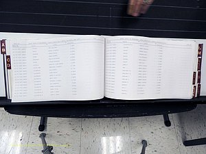 Surry Co, NC, Marriages, Female Index, A-Z, Beginning-1899 (183).JPG