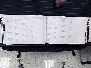 Surry Co, NC, Marriages, Female Index, A-Z, Beginning-1899 (185).JPG