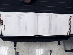 Surry Co, NC, Marriages, Female Index, A-Z, Beginning-1899 (204).JPG