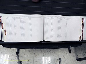 Surry Co, NC, Marriages, Female Index, A-Z, Beginning-1899 (205).JPG