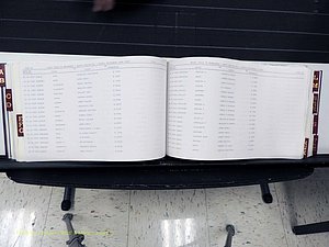 Surry Co, NC, Marriages, Female Index, A-Z, Beginning-1899 (206).JPG