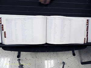 Surry Co, NC, Marriages, Female Index, A-Z, Beginning-1899 (209).JPG