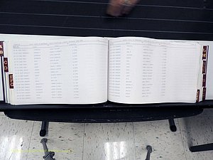 Surry Co, NC, Marriages, Female Index, A-Z, Beginning-1899 (213).JPG