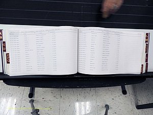 Surry Co, NC, Marriages, Female Index, A-Z, Beginning-1899 (219).JPG