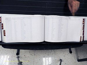 Surry Co, NC, Marriages, Female Index, A-Z, Beginning-1899 (221).JPG