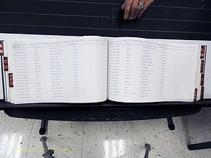 Surry Co, NC, Marriages, Female Index, A-Z, Beginning-1899 (227).JPG
