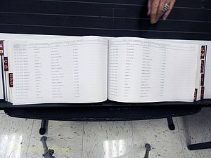 Surry Co, NC, Marriages, Female Index, A-Z, Beginning-1899 (230).JPG