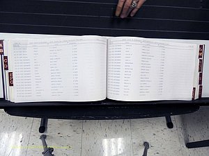 Surry Co, NC, Marriages, Female Index, A-Z, Beginning-1899 (231).JPG