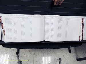 Surry Co, NC, Marriages, Female Index, A-Z, Beginning-1899 (232).JPG
