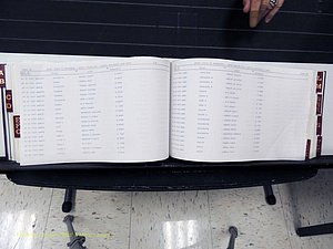 Surry Co, NC, Marriages, Female Index, A-Z, Beginning-1899 (234).JPG