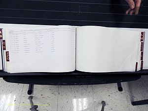 Surry Co, NC, Marriages, Female Index, A-Z, Beginning-1899 (236).JPG