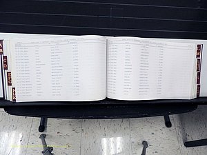 Surry Co, NC, Marriages, Female Index, A-Z, Beginning-1899 (240).JPG