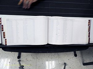 Surry Co, NC, Marriages, Female Index, A-Z, Beginning-1899 (242).JPG