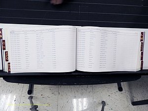 Surry Co, NC, Marriages, Female Index, A-Z, Beginning-1899 (243).JPG