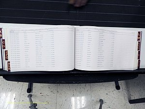 Surry Co, NC, Marriages, Female Index, A-Z, Beginning-1899 (244).JPG