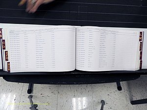 Surry Co, NC, Marriages, Female Index, A-Z, Beginning-1899 (246).JPG