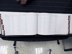 Surry Co, NC, Marriages, Female Index, A-Z, Beginning-1899 (247).JPG