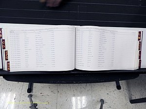Surry Co, NC, Marriages, Female Index, A-Z, Beginning-1899 (250).JPG