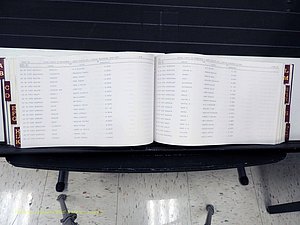 Surry Co, NC, Marriages, Female Index, A-Z, Beginning-1899 (252).JPG