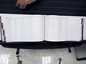 Surry Co, NC, Marriages, Female Index, A-Z, Beginning-1899 (255).JPG