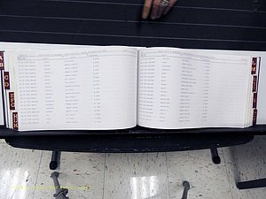 Surry Co, NC, Marriages, Female Index, A-Z, Beginning-1899 (261).JPG