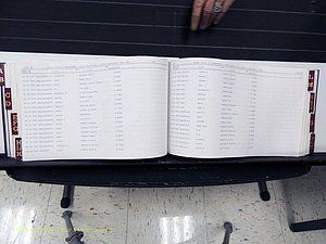 Surry Co, NC, Marriages, Female Index, A-Z, Beginning-1899 (263).JPG