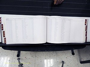 Surry Co, NC, Marriages, Female Index, A-Z, Beginning-1899 (267).JPG