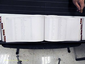 Surry Co, NC, Marriages, Female Index, A-Z, Beginning-1899 (271).JPG