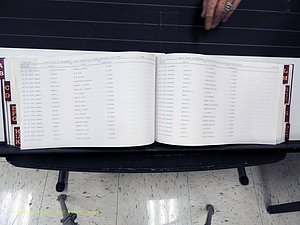Surry Co, NC, Marriages, Female Index, A-Z, Beginning-1899 (273).JPG