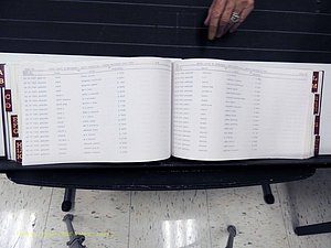 Surry Co, NC, Marriages, Female Index, A-Z, Beginning-1899 (276).JPG