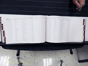 Surry Co, NC, Marriages, Female Index, A-Z, Beginning-1899 (280).JPG