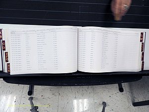 Surry Co, NC, Marriages, Female Index, A-Z, Beginning-1899 (287).JPG
