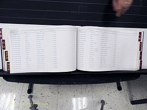 Surry Co, NC, Marriages, Female Index, A-Z, Beginning-1899 (292).JPG