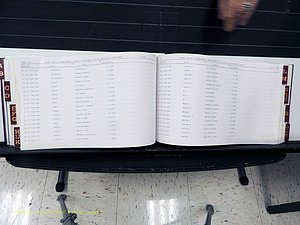 Surry Co, NC, Marriages, Female Index, A-Z, Beginning-1899 (293).JPG