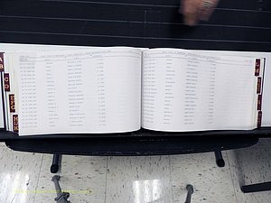 Surry Co, NC, Marriages, Female Index, A-Z, Beginning-1899 (294).JPG