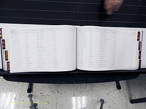 Surry Co, NC, Marriages, Female Index, A-Z, Beginning-1899 (295).JPG