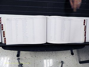 Surry Co, NC, Marriages, Female Index, A-Z, Beginning-1899 (296).JPG