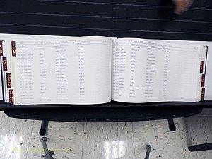 Surry Co, NC, Marriages, Female Index, A-Z, Beginning-1899 (302).JPG