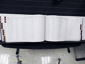 Surry Co, NC, Marriages, Female Index, A-Z, Beginning-1899 (303).JPG