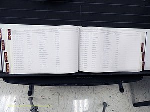 Surry Co, NC, Marriages, Female Index, A-Z, Beginning-1899 (304).JPG